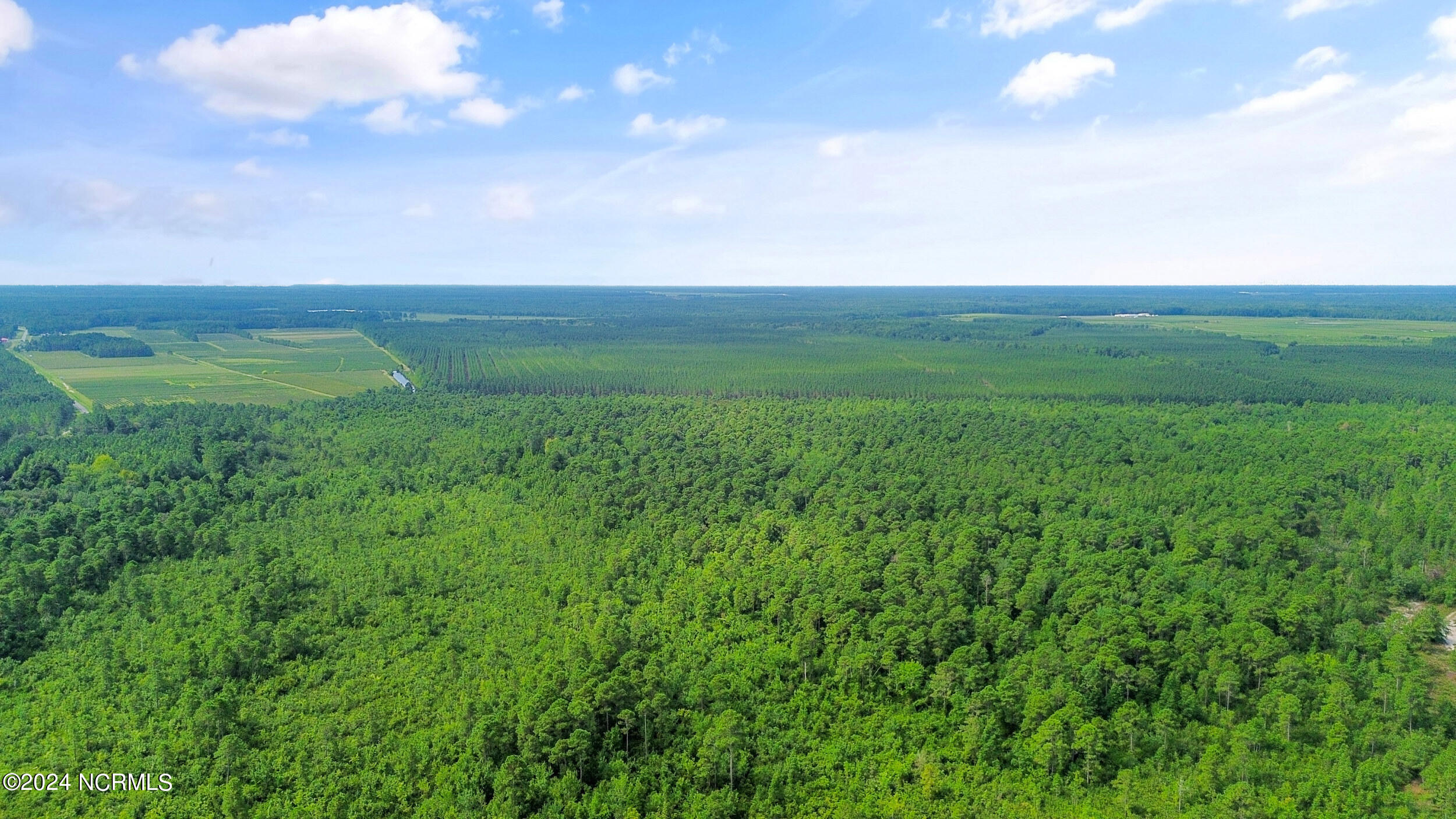 1 Lizzie Henry Road Ivanhoe, NC 28447 - Photo 14 of 15 lizziehenryrd_00013