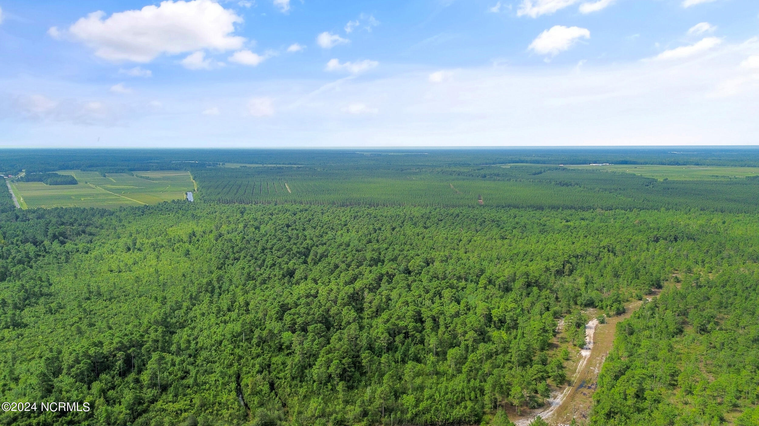 1 Lizzie Henry Road Ivanhoe, NC 28447 - Photo 15 of 15 lizziehenryrd_00014