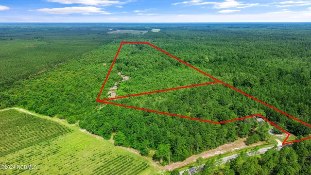 $210,000 | 1 Lizzie Henry Road, Ivanhoe, NC 28447
