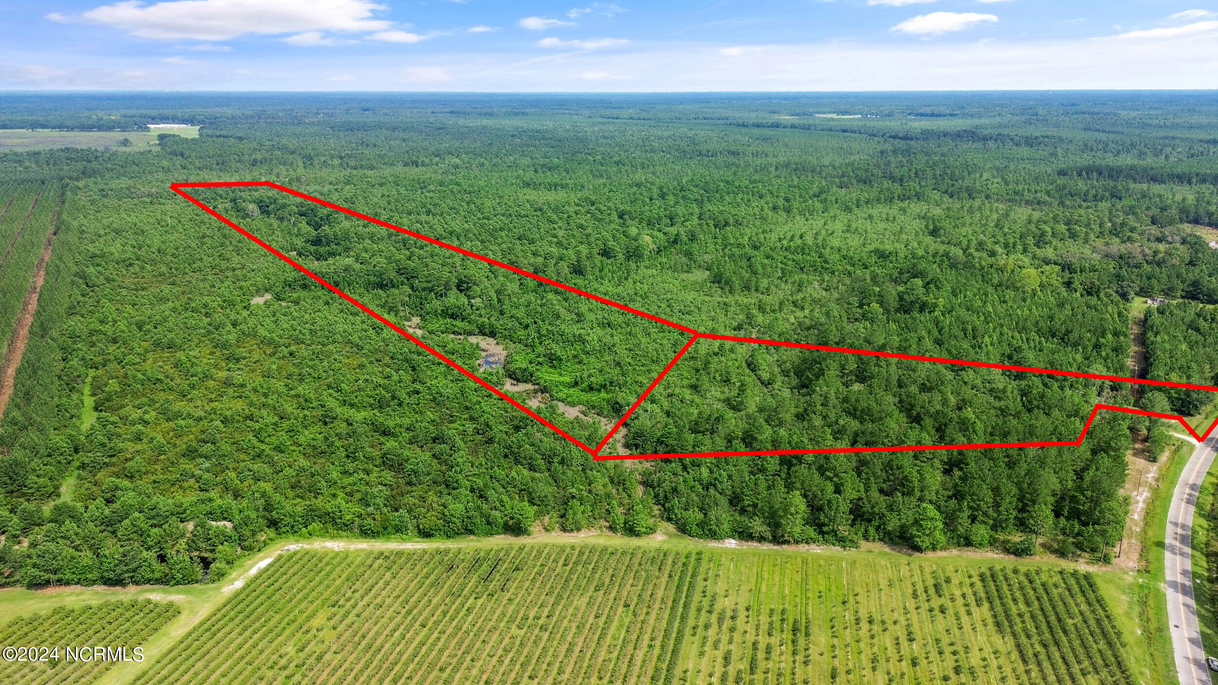 1 Lizzie Henry Road Ivanhoe, NC 28447 - Photo 5 of 15 lizziehenryrd_00004