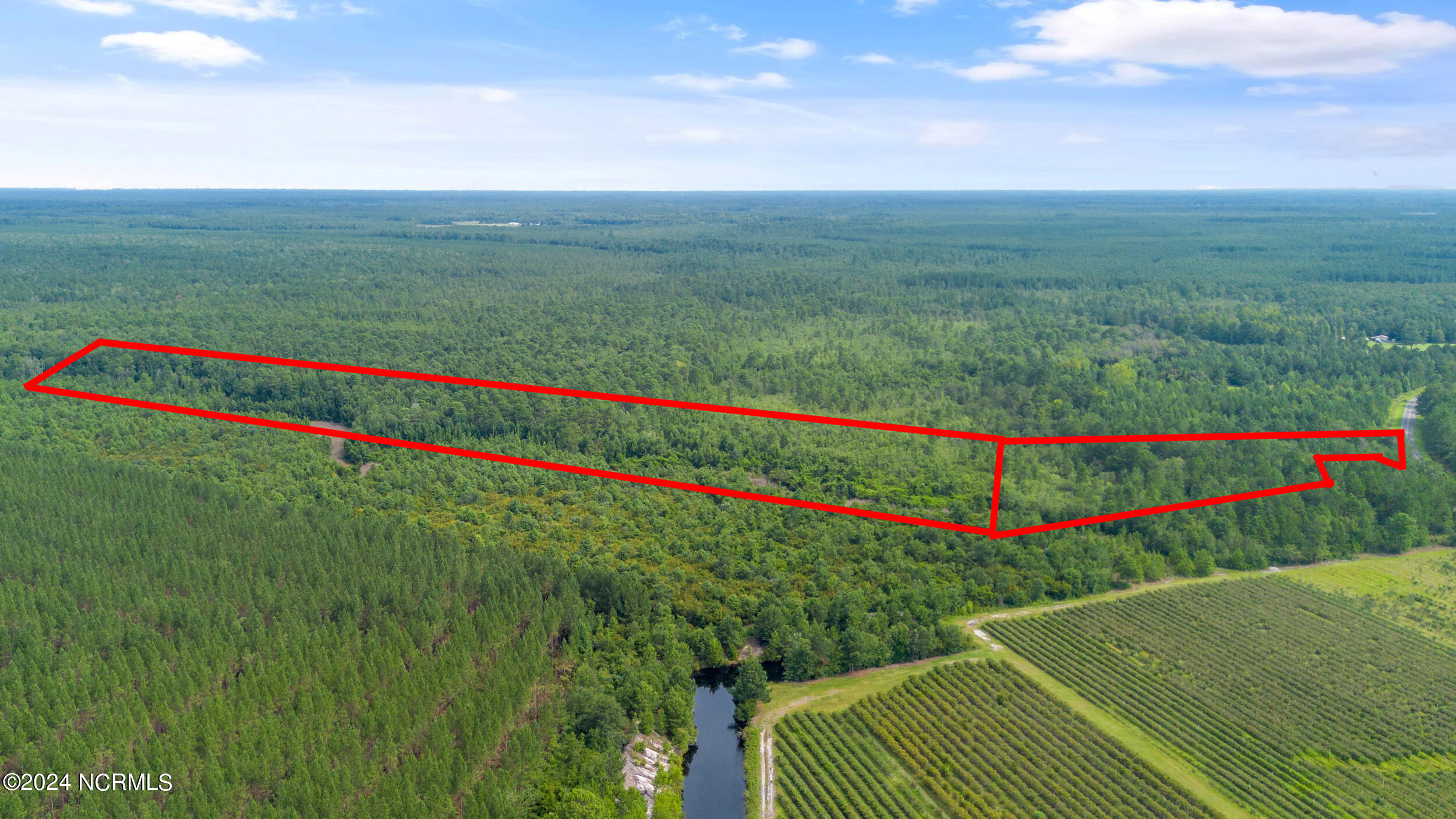 1 Lizzie Henry Road Ivanhoe, NC 28447 - Photo 6 of 15 lizziehenryrd_00005