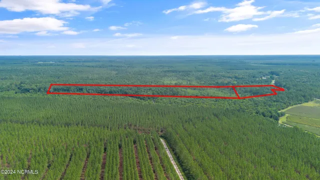 $210,000 | 1 Lizzie Henry Road, Ivanhoe, NC 28447