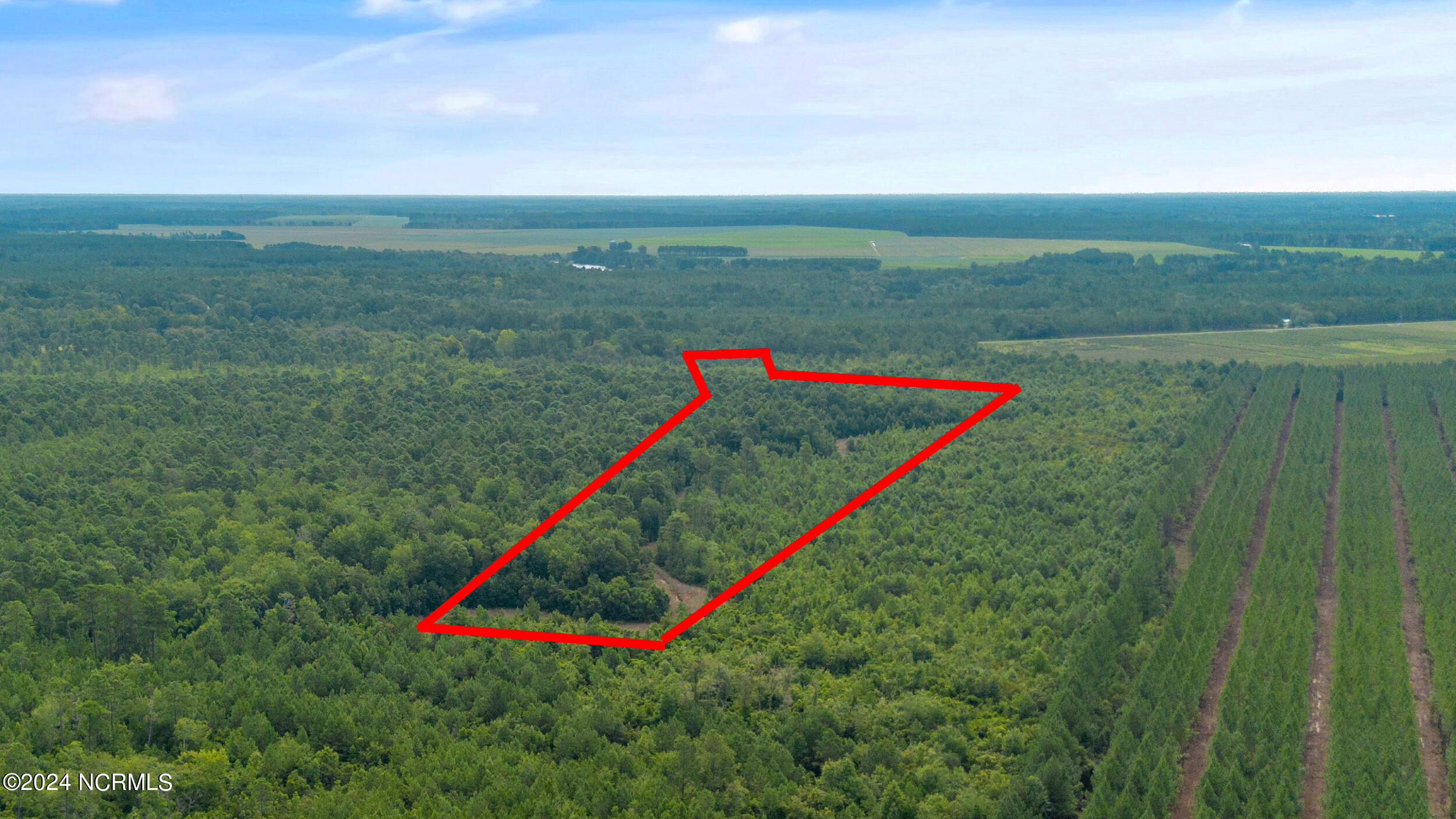 1 Lizzie Henry Road Ivanhoe, NC 28447 - Photo 9 of 15 lizziehenryrd_00008