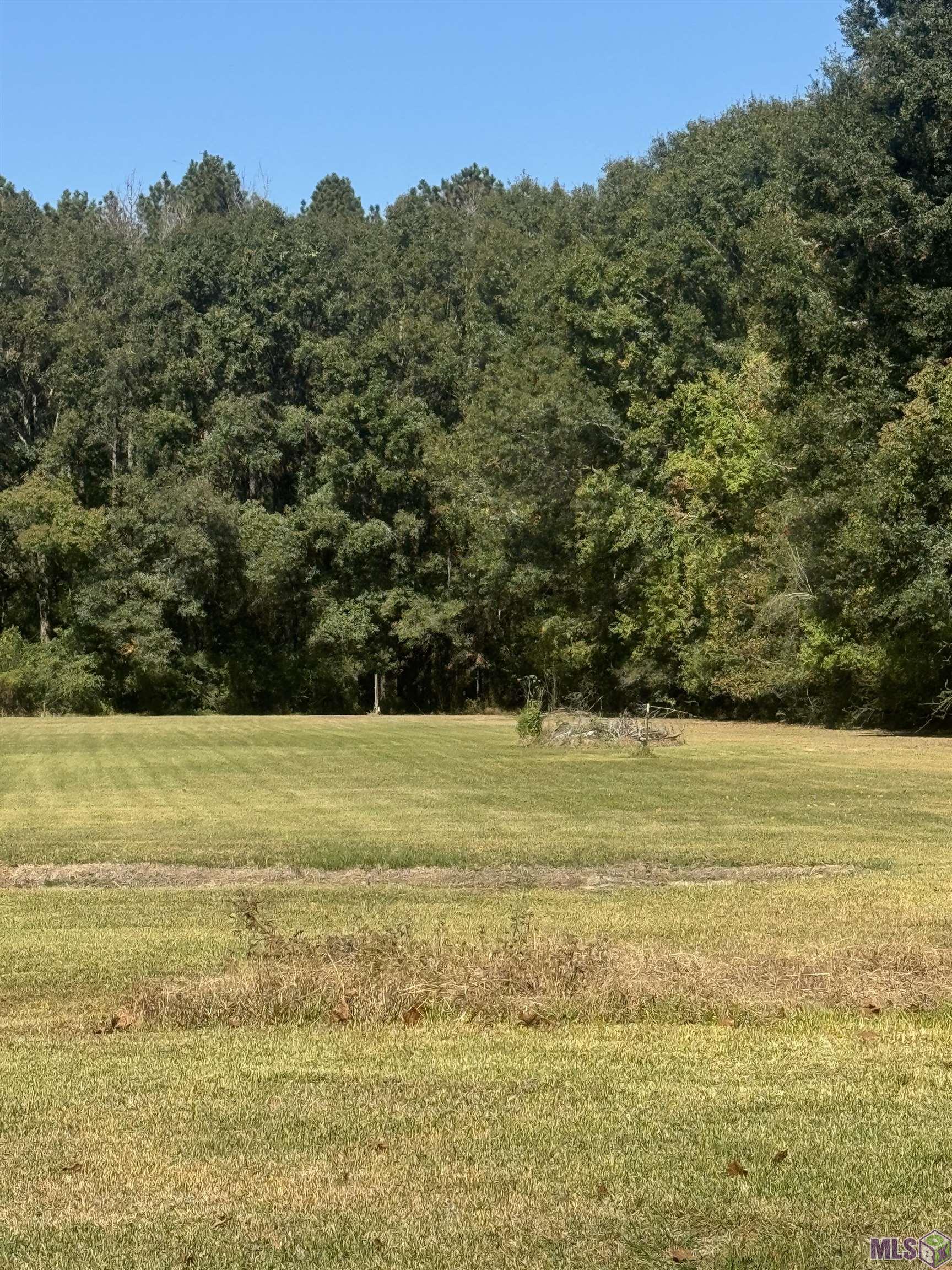 5555 Rolling Acres Drive Baker, LA 70714 - Photo 4 of 21