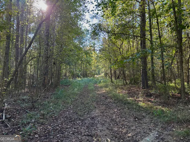 $215,000 | 226 Cherokee Road, Glenwood, GA 30428