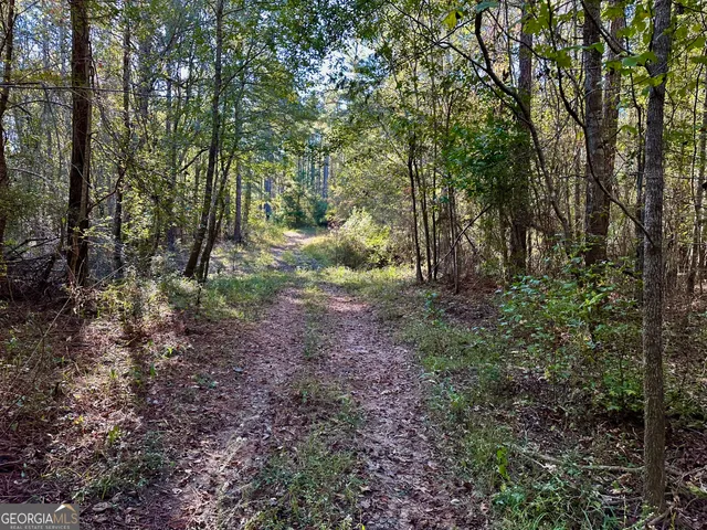 $215,000 | 226 Cherokee Road, Glenwood, GA 30428