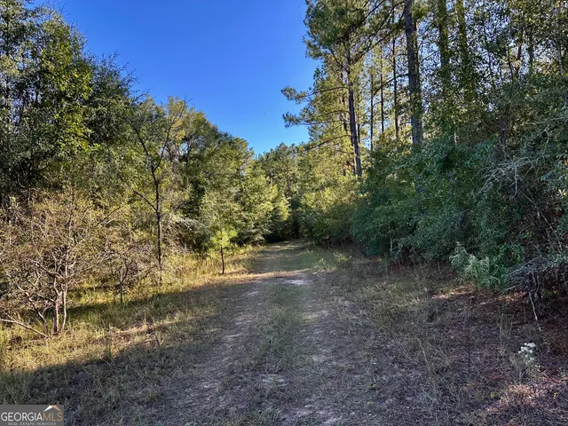 $215,000 | 226 Cherokee Road, Glenwood, GA 30428