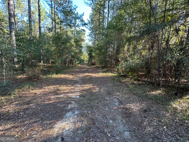 $215,000 | 226 Cherokee Road, Glenwood, GA 30428