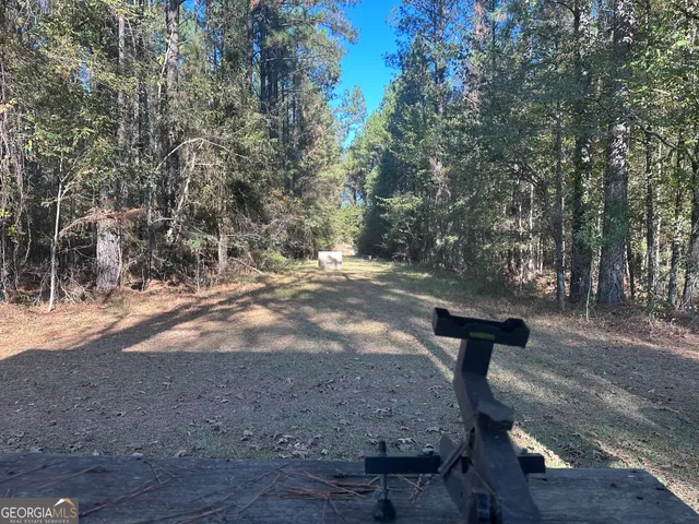 $215,000 | 226 Cherokee Road, Glenwood, GA 30428