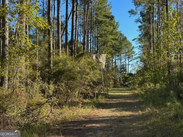 a view of outdoor space and yard