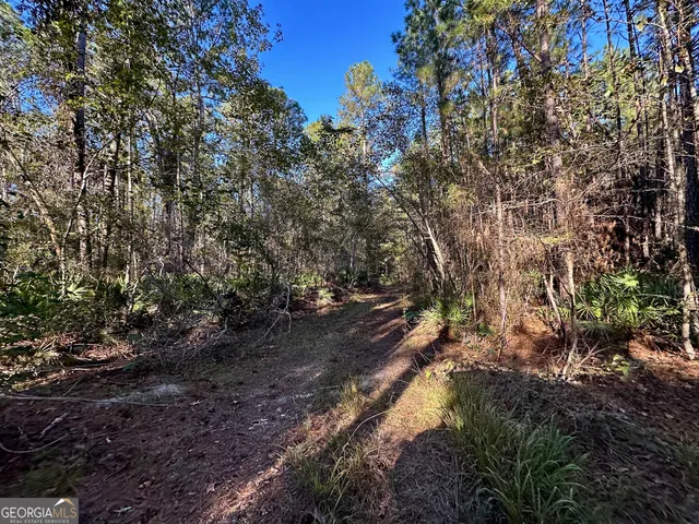 $215,000 | 226 Cherokee Road, Glenwood, GA 30428