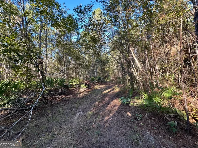 $215,000 | 226 Cherokee Road, Glenwood, GA 30428