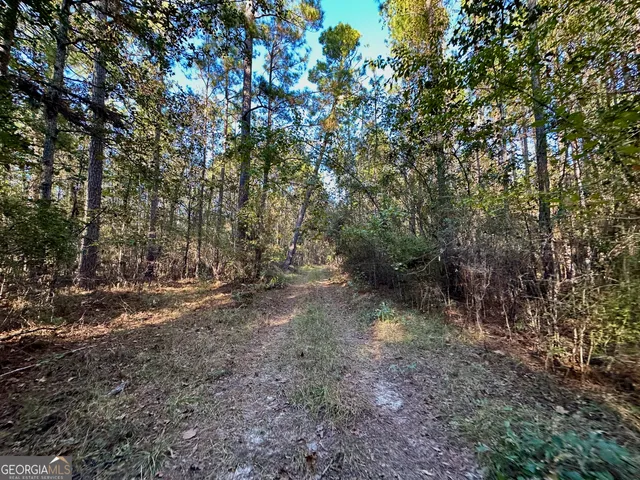 $215,000 | 226 Cherokee Road, Glenwood, GA 30428