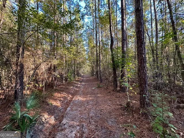 $215,000 | 226 Cherokee Road, Glenwood, GA 30428