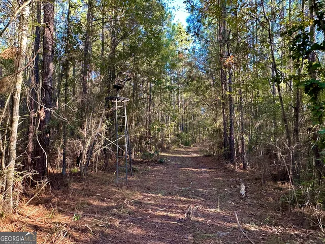 a view of a house with a yard and large trees