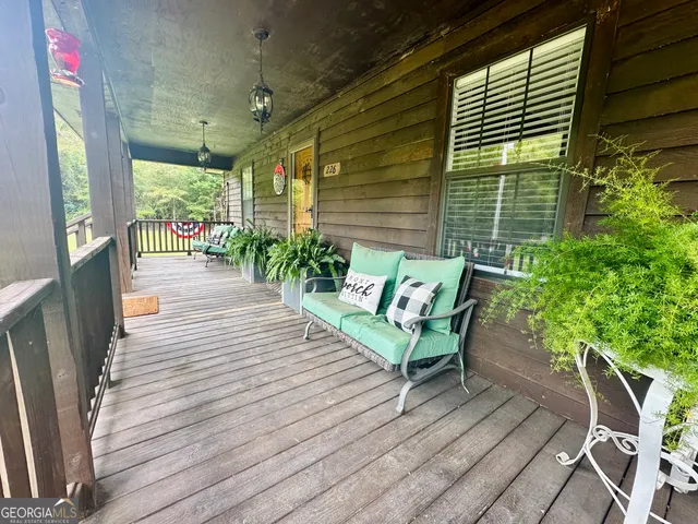 a view of a yard with plants and trees