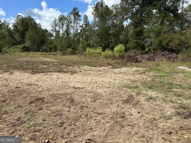 $215,000 | 226 Cherokee Road, Glenwood, GA 30428