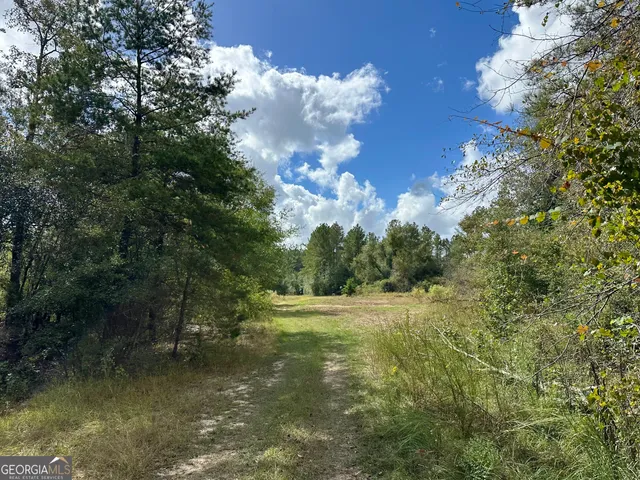 $215,000 | 226 Cherokee Road, Glenwood, GA 30428