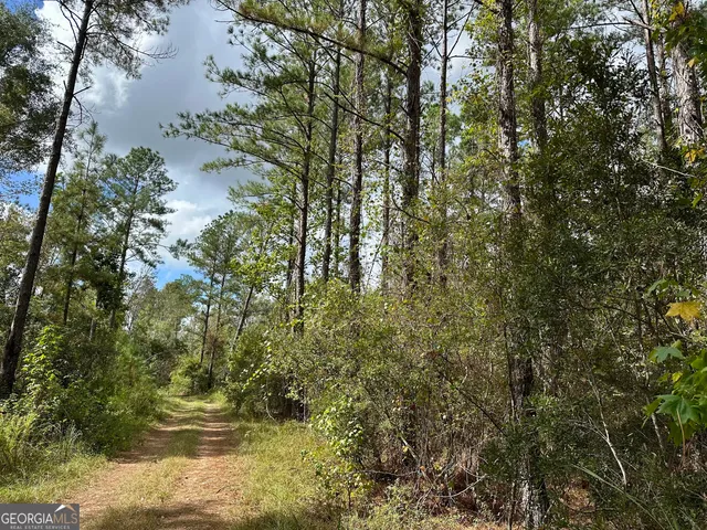 $215,000 | 226 Cherokee Road, Glenwood, GA 30428