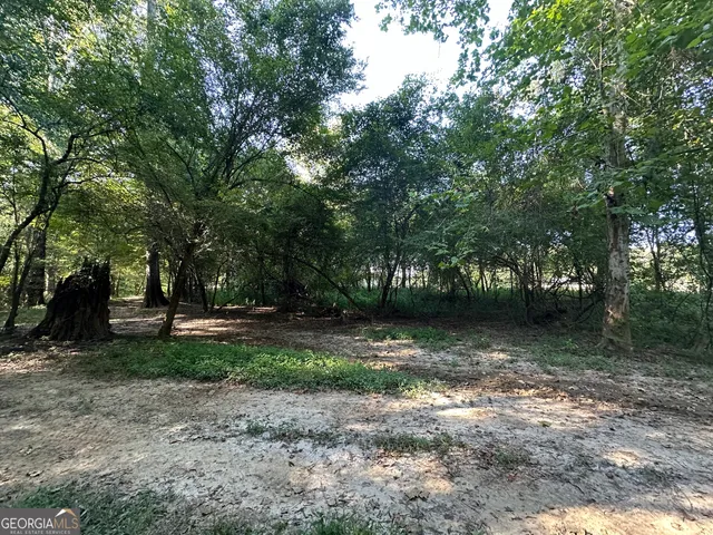 $215,000 | 226 Cherokee Road, Glenwood, GA 30428