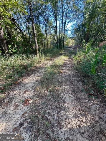 $215,000 | 226 Cherokee Road, Glenwood, GA 30428