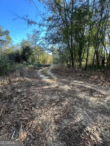 $215,000 | 226 Cherokee Road, Glenwood, GA 30428