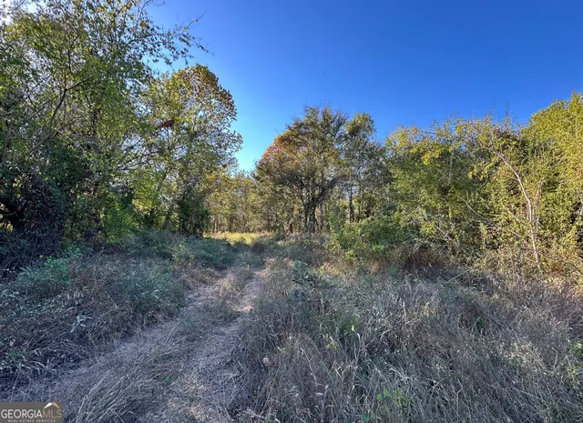 $215,000 | 226 Cherokee Road, Glenwood, GA 30428