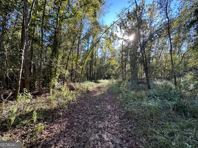 $215,000 | 226 Cherokee Road, Glenwood, GA 30428