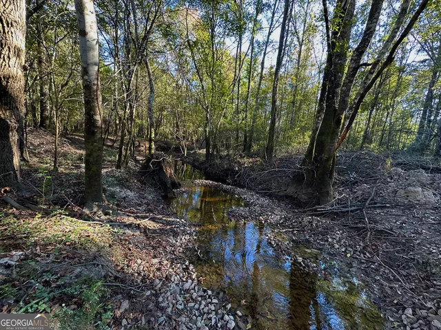 a view of lake and mountain in the back