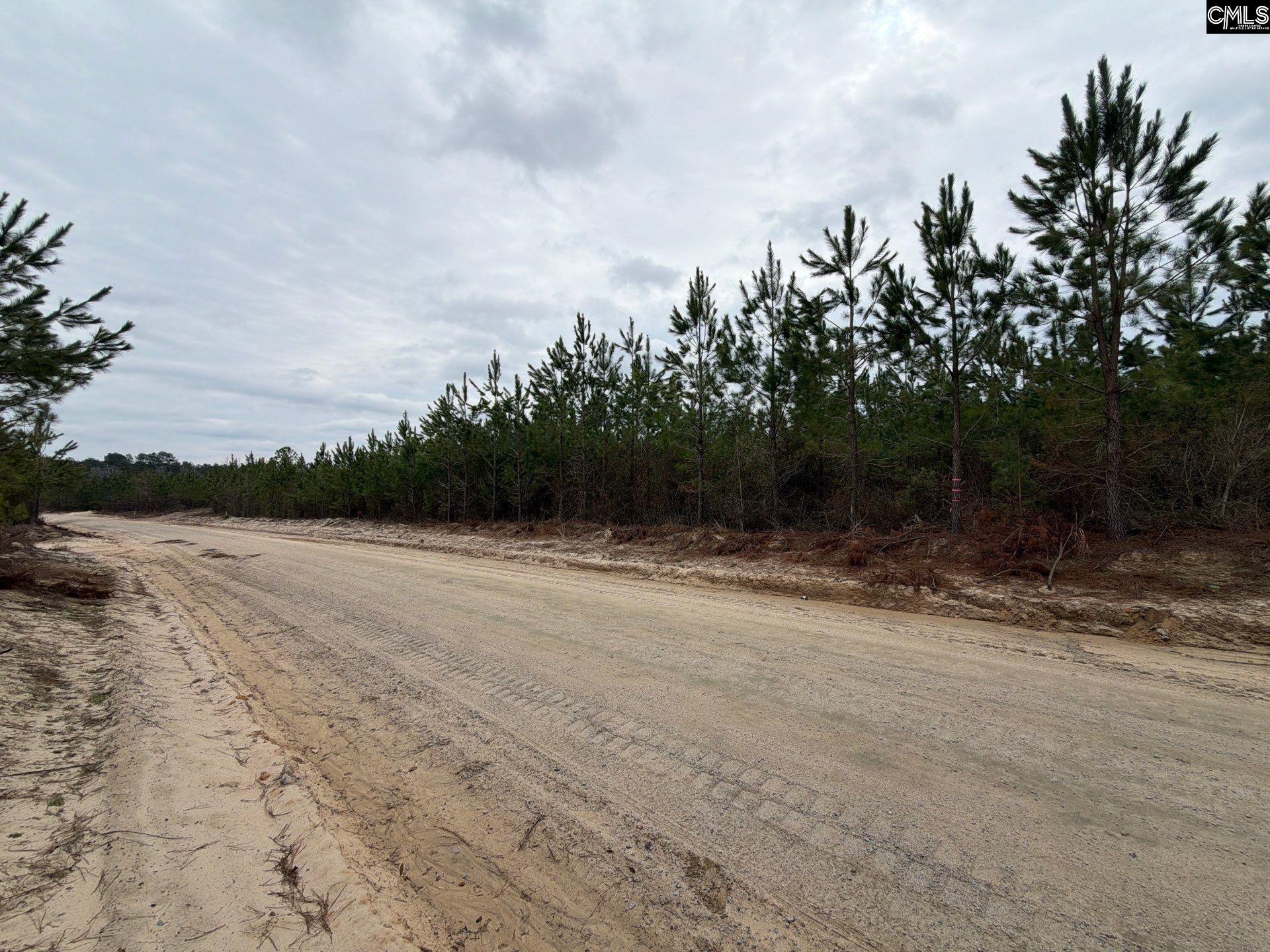 4 Jc Barefoot Road, Unit BFF II 4 Patrick, SC 29584 - Photo 10 of 32