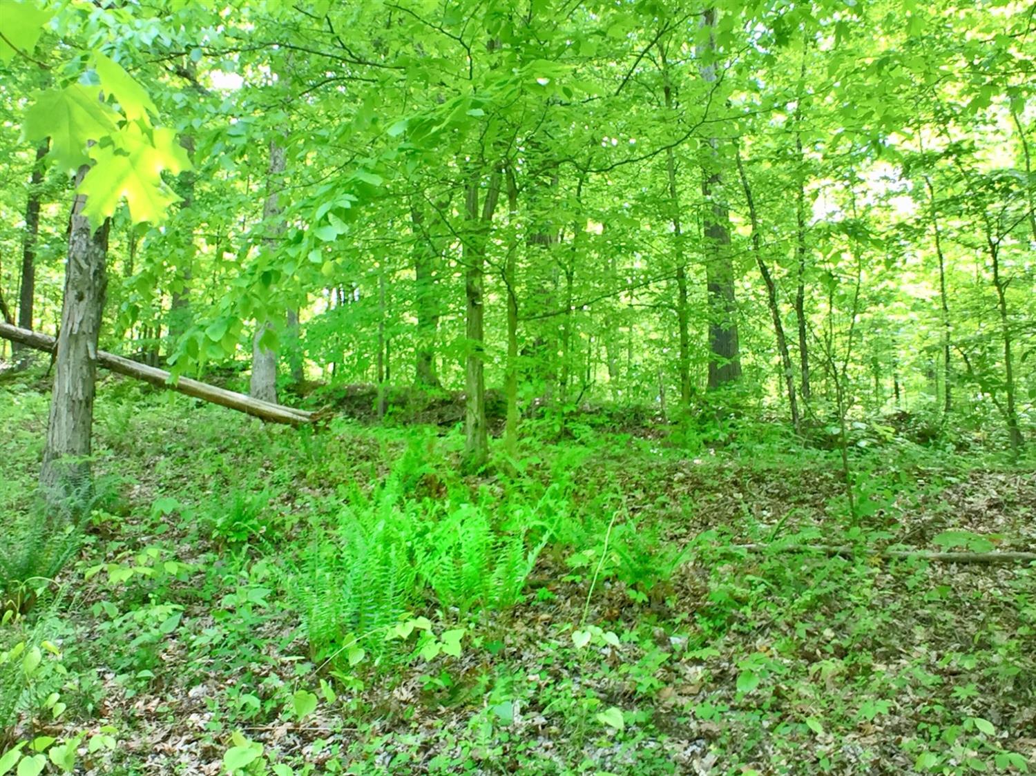 9482 Werner Road Cross Plains, IN 47017 - Photo 9 of 34 Gallery Image 9