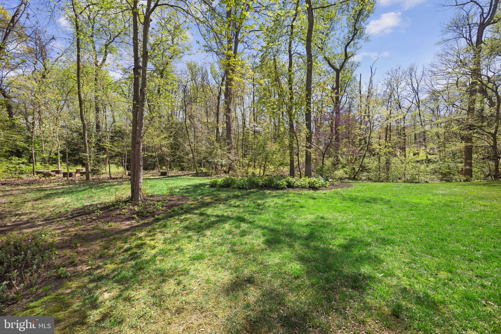 437 Edgemere Drive Annapolis, MD 21403 - Photo 24 of 33 Plenty of space to run and play
