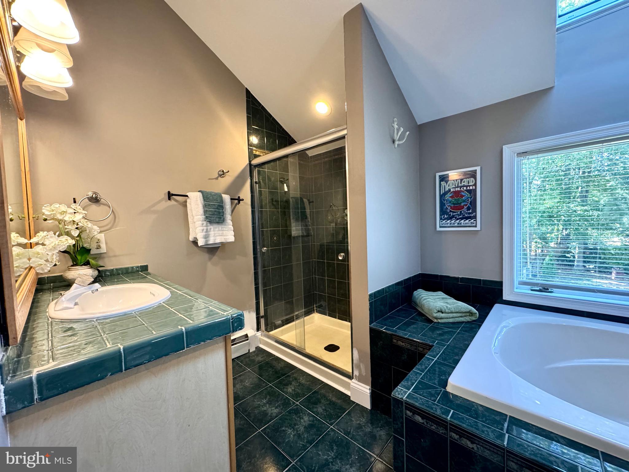211 Queen Anne Road Stevensville, MD 21666 - Photo 38 of 56 Primary Bath