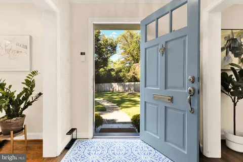 a garden with lots of plants and trees