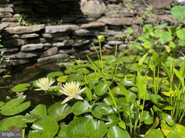 $1,375,000 | 9701 Connecticut Avenue, Kensington, MD 20895