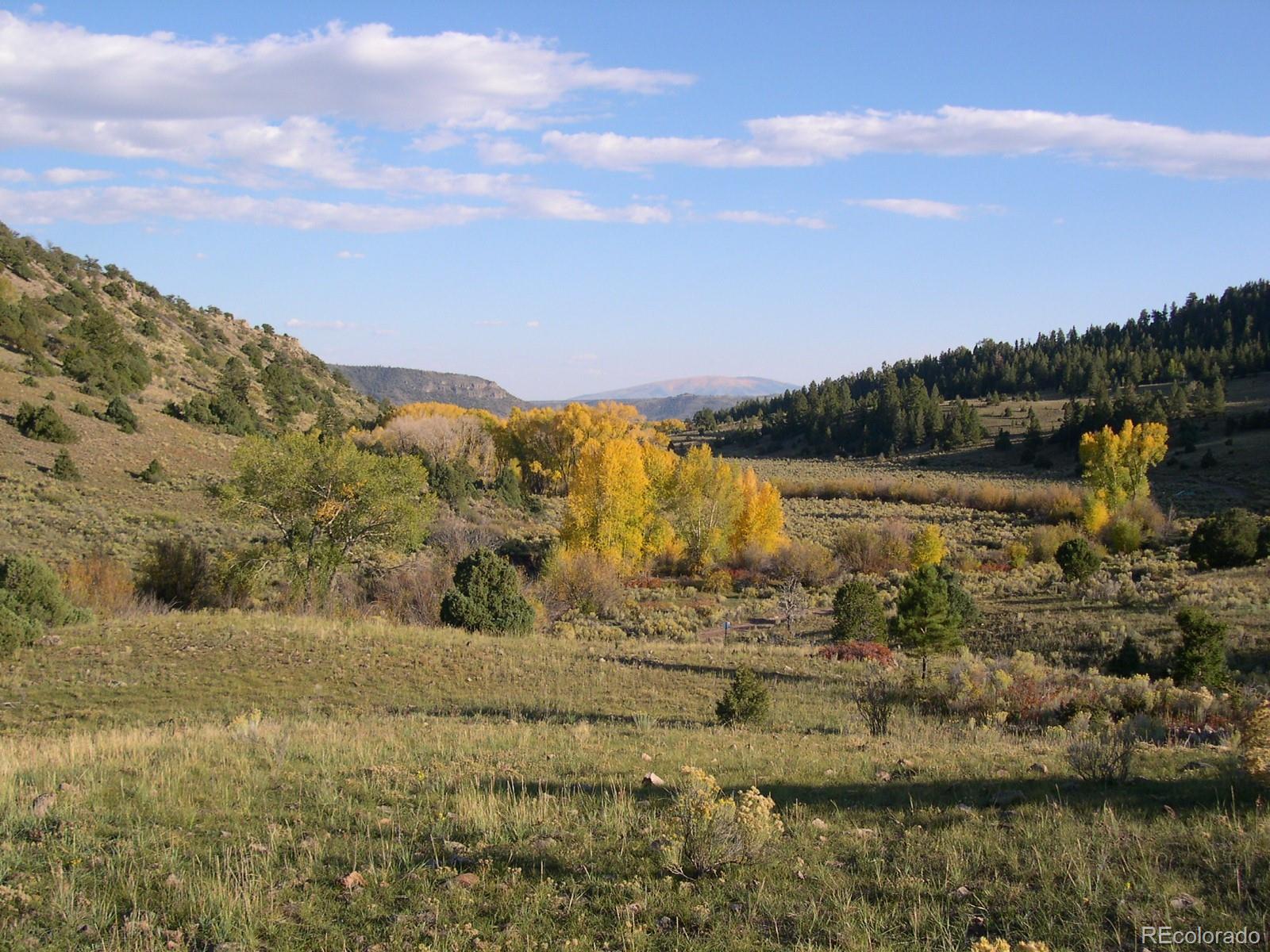Fox Creek Antonito, CO 81120 - Photo 12 of 12