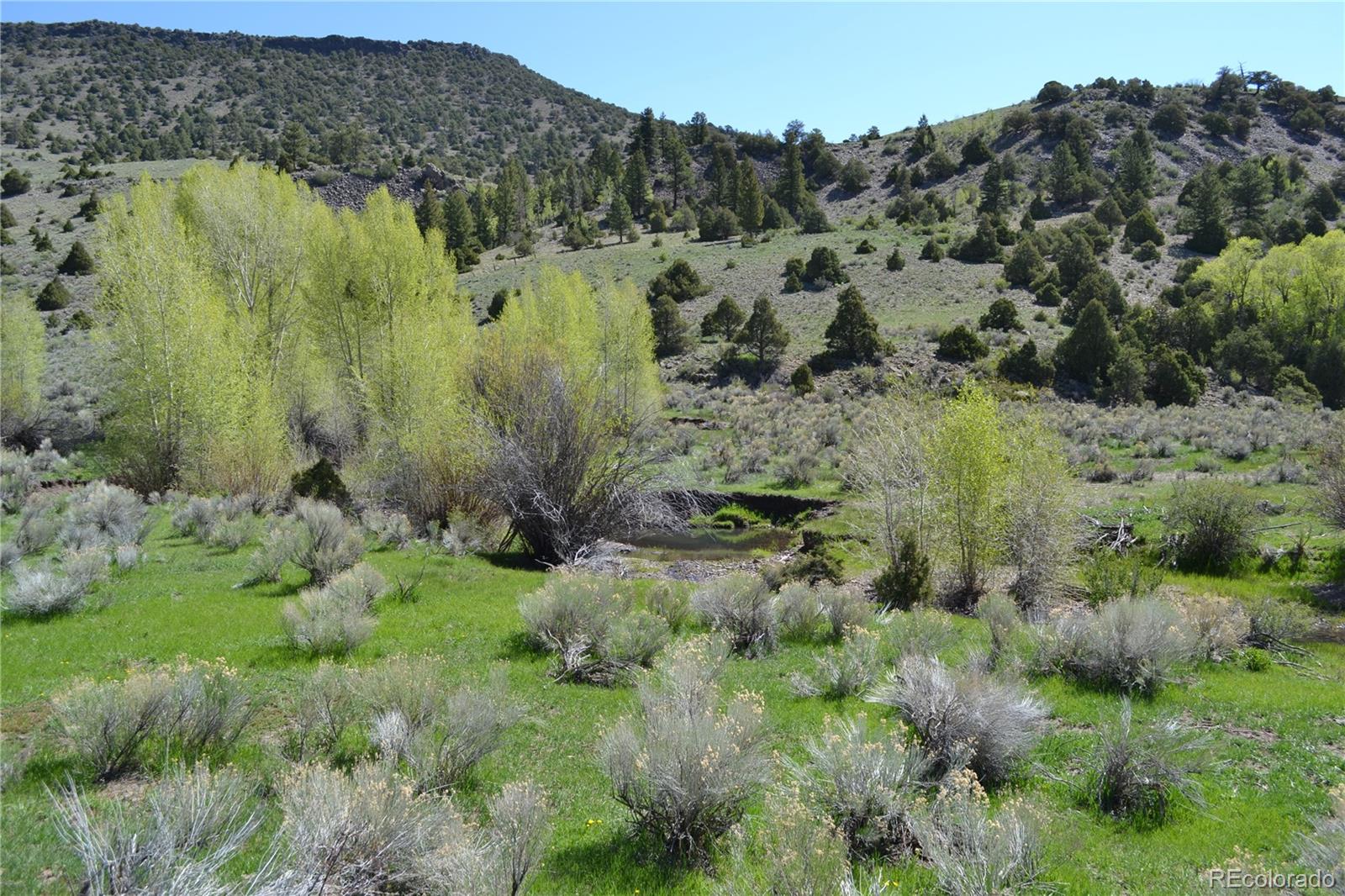 Fox Creek Antonito, CO 81120 - Photo 2 of 12
