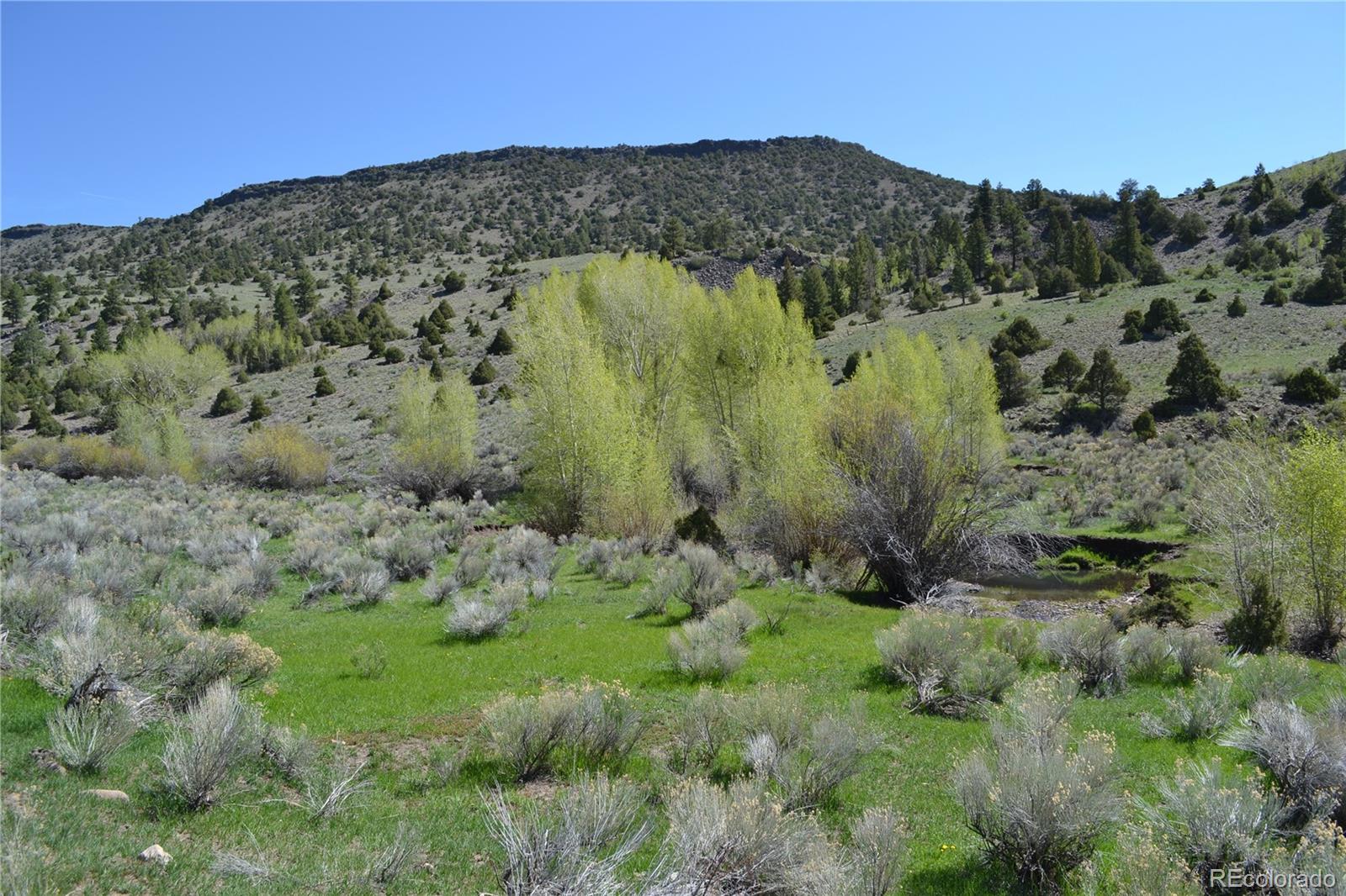 Fox Creek Antonito, CO 81120 - Photo 3 of 12