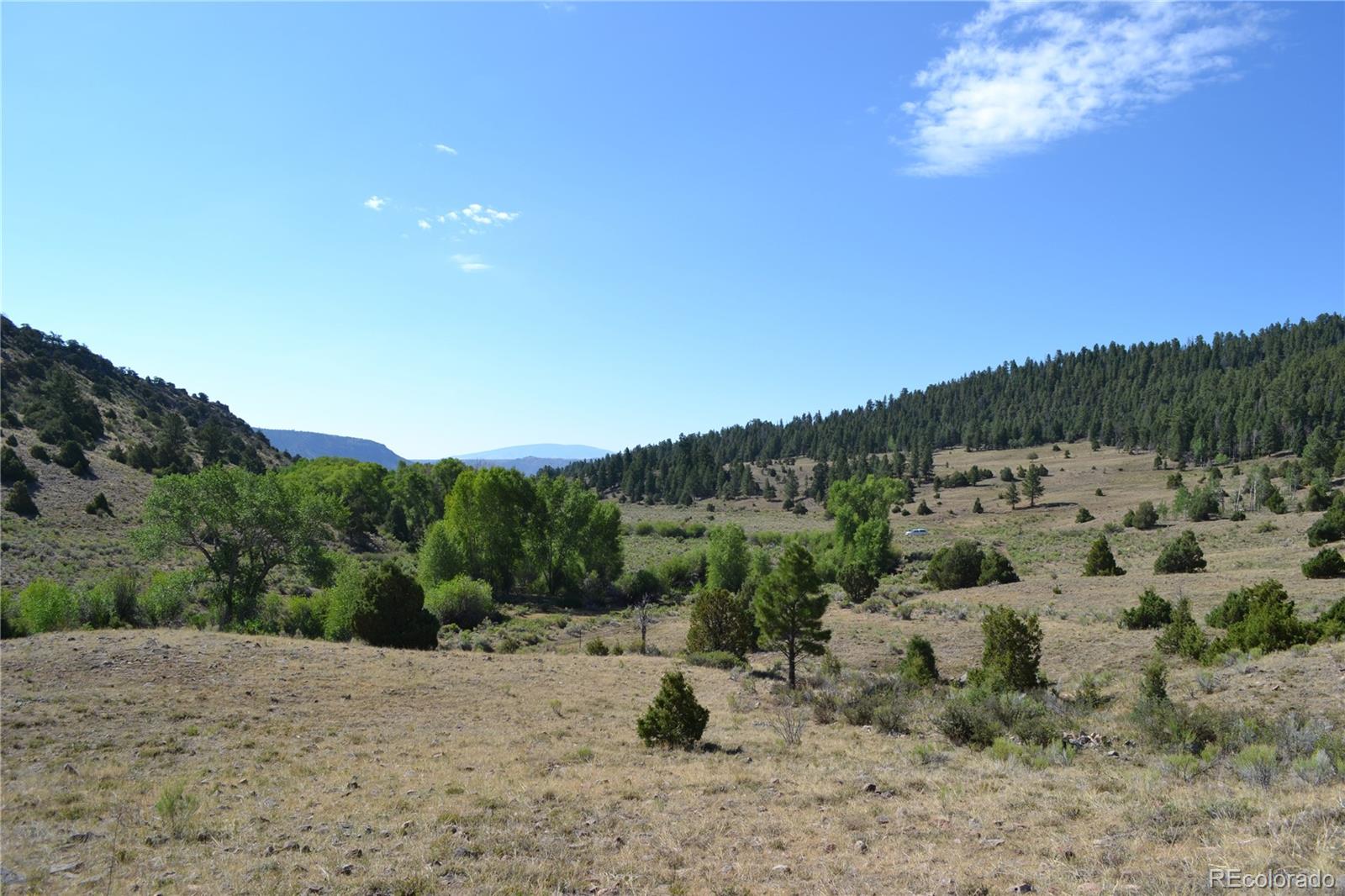 Fox Creek Antonito, CO 81120 - Photo 4 of 12