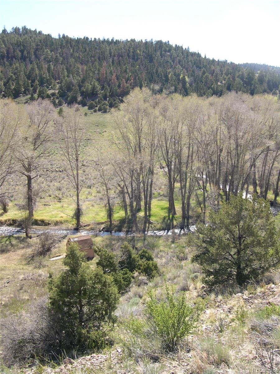 Fox Creek Antonito, CO 81120 - Photo 5 of 12