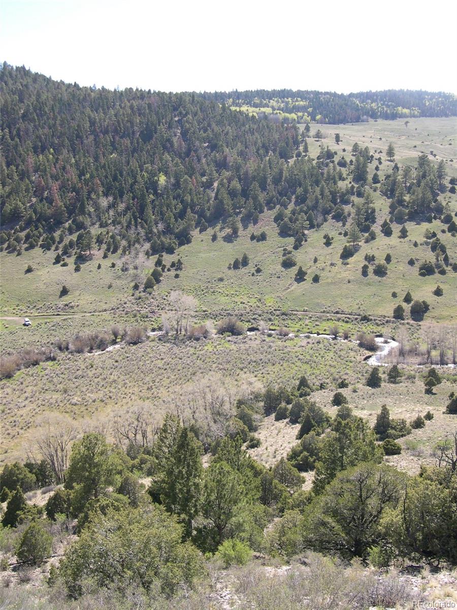 Fox Creek Antonito, CO 81120 - Photo 6 of 12