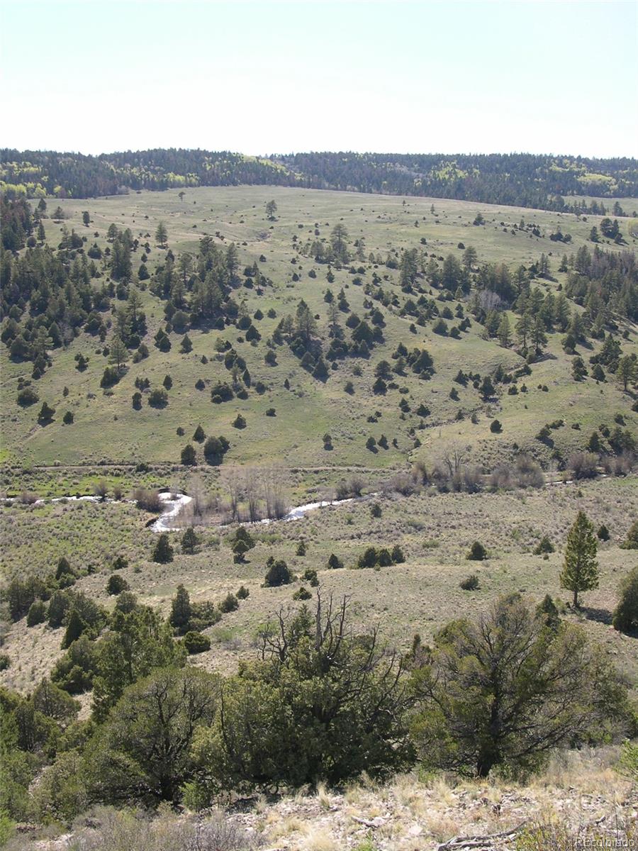Fox Creek Antonito, CO 81120 - Photo 7 of 12