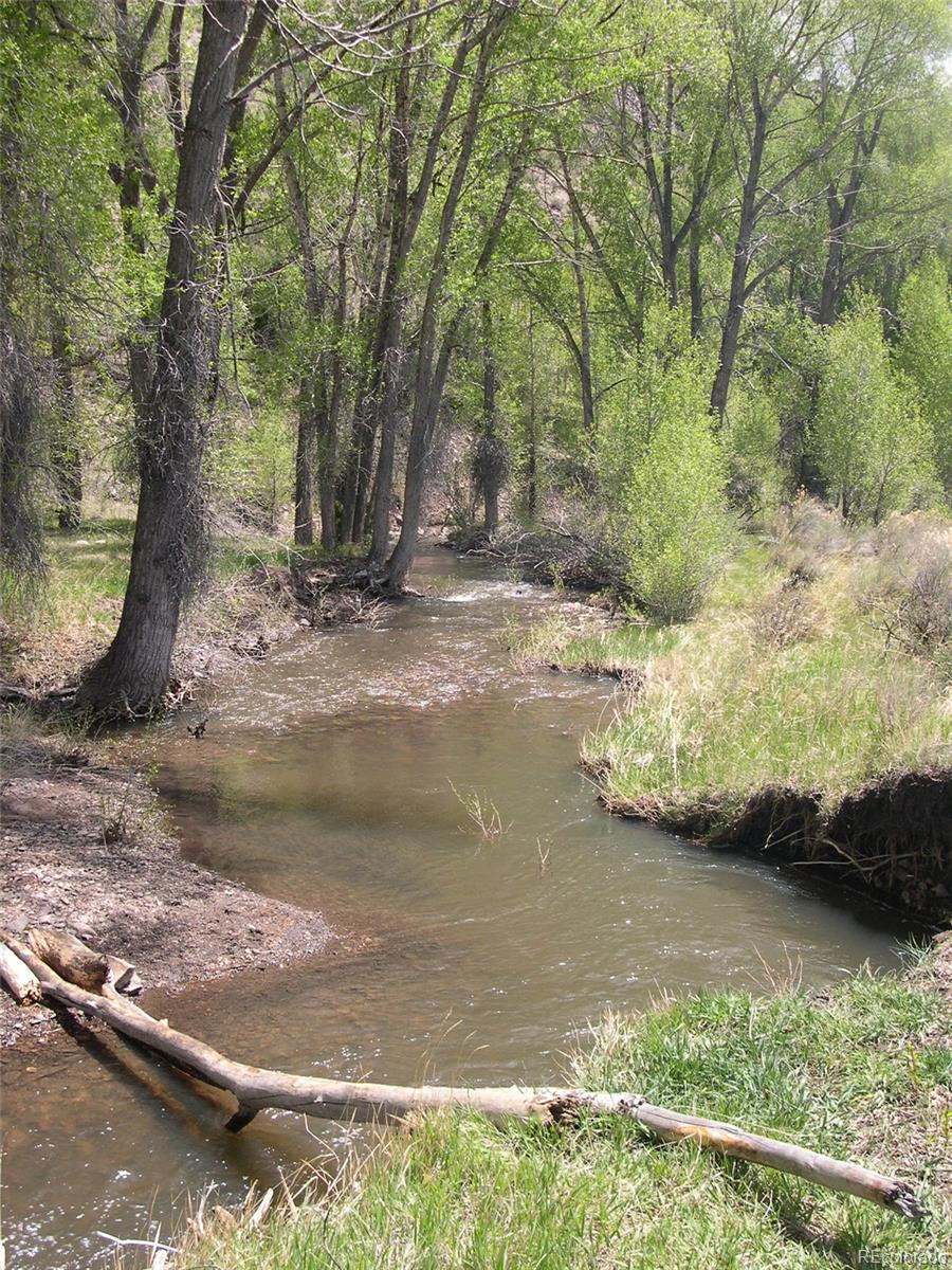 Fox Creek Antonito, CO 81120 - Photo 8 of 12