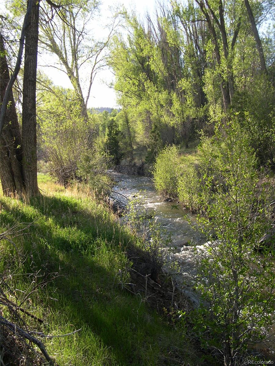 Fox Creek Antonito, CO 81120 - Photo 9 of 12
