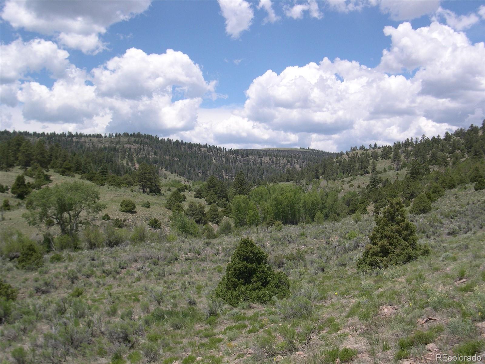 Fox Creek Antonito, CO 81120 - Photo 10 of 12