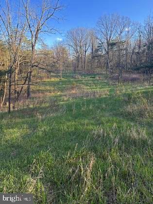 Mohawk Road Newville, PA 17241 - Photo 5 of 8 Gallery Image 5