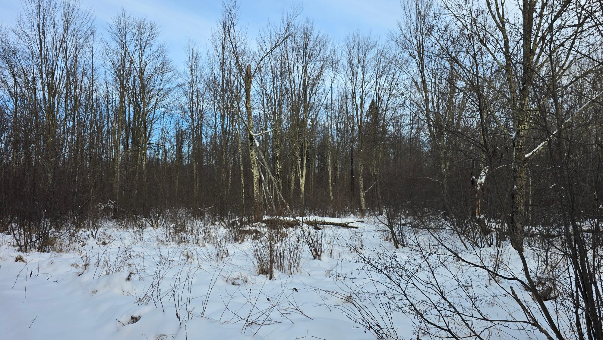 On Hansen Road, Unit 81 ACRES Antigo, WI 54409 - Photo 22 of 30 Gallery Image 22