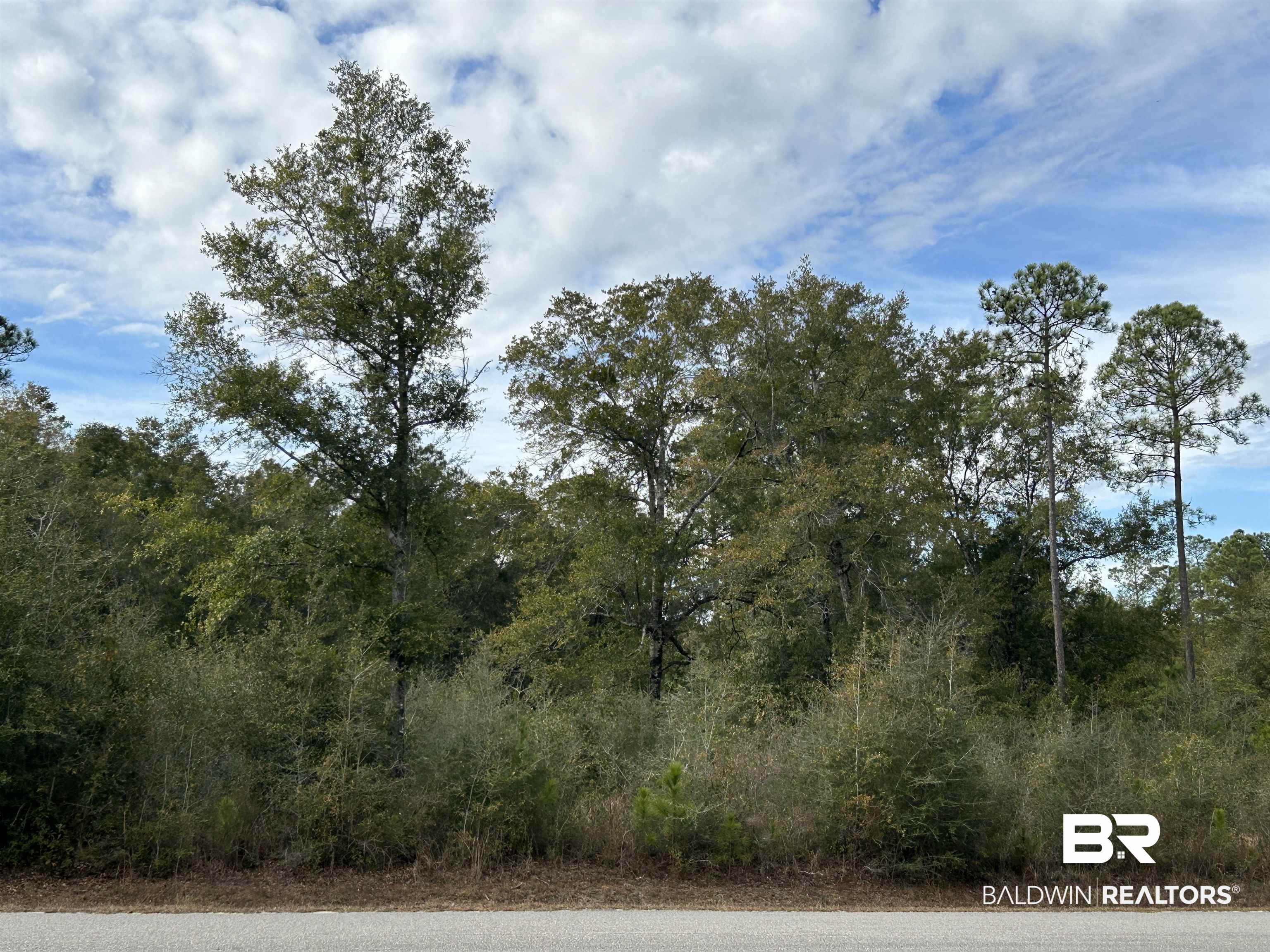272651 Pandion Drive Foley, AL 36535 - Photo 4 of 13