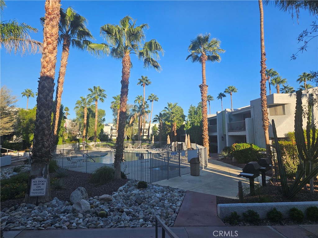 3155 Ramon Road, Unit 601 Palm Springs, CA 92264 - Photo 18 of 35 a view of a yard in front of house