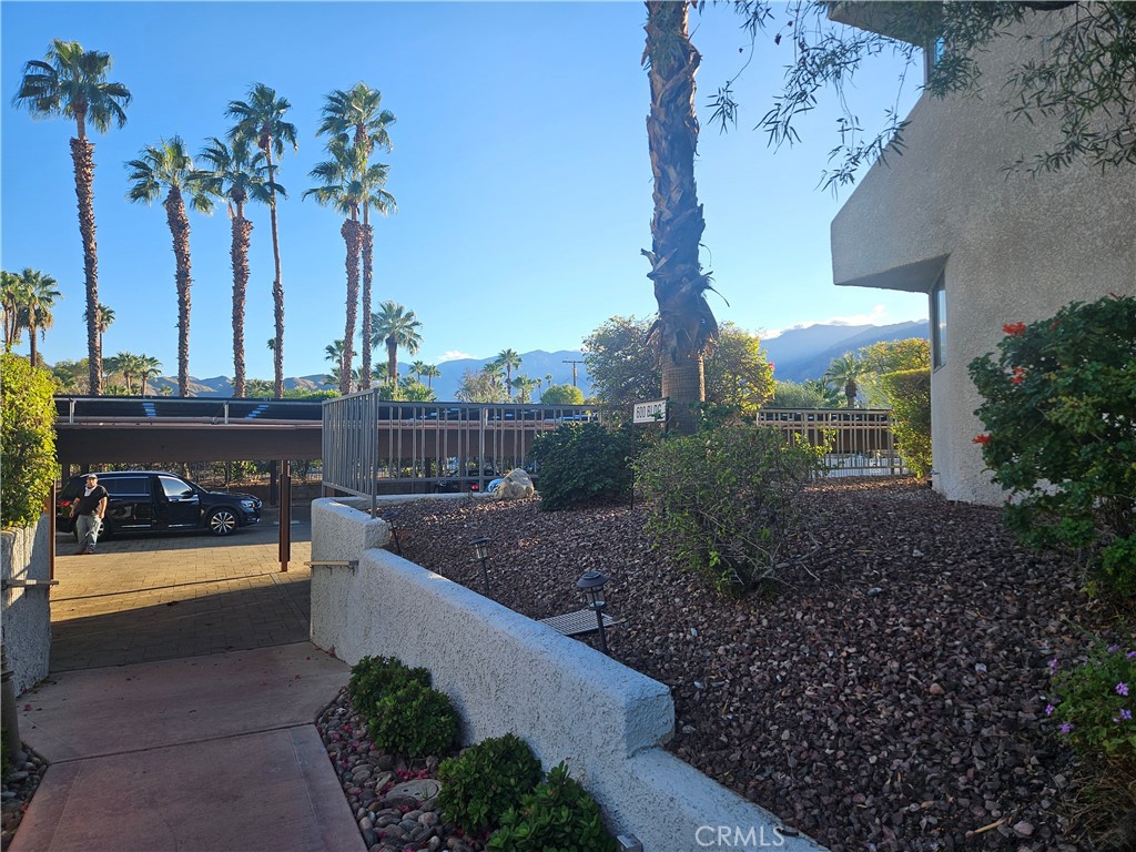 3155 Ramon Road, Unit 601 Palm Springs, CA 92264 - Photo 26 of 35 a view of a garden with a bench in the patio